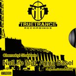 Artwork voor "Chernobyl Shadows"