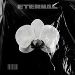 Portada para "Eternal"