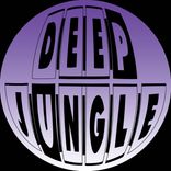 Portada para "The Groove"