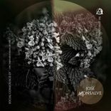 Artwork for "Social Conscience"