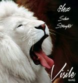 Artwork voor "Sahar"