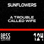 Artwork for "A Trouble Called Wife"