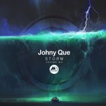 Portada para "Storm"