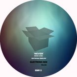 Artwork for "Never"