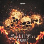 Portada para "Back To Fire"