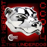 Artwork voor "The Underdog"