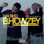 Artwork für "Haisho Bhowzey"