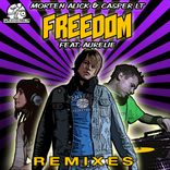 Artwork for "Freedom Remixes"