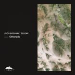 Artwork voor "Otherside"