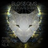 Artwork for "Blossoms"