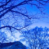 Artwork für "Where Her Shadow Stays"