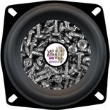 Portada para "Screw Them"