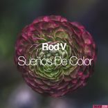 Artwork for "Suenos De Color"