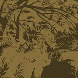 Artwork for "Exotic Landscape"