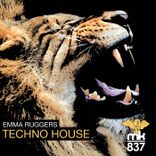 Artwork for "Techno House"