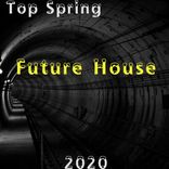 Artwork for "Top Spring Future House 2020"