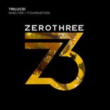 Artwork voor "Shelter/Foundation"