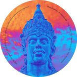 Portada para "Protection"