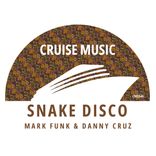 Artwork for "Snake Disco"