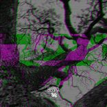 Artwork for "Macina Corp"