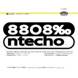 Artwork for "We Call It NTecho"