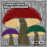 Artwork for "Mushroom"