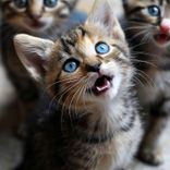 Saving You from Saving Me