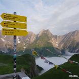 Artwork for "San Antoni"