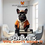 Portada para "We Can´t Stop It"