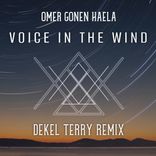 Artwork voor "A Voice in the Wind"