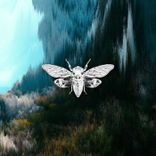 Artwork for "Beliefs"