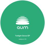 Artwork für "Twilight Grove"