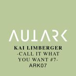 Artwork voor "Call It What You Want #7"