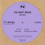 Artwork voor "The Night Break"