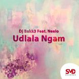 Artwork for "Udlala Ngam"