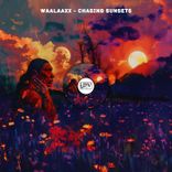 Artwork voor "Chasing Sunset"