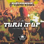 Artwork for "Turn It Up"