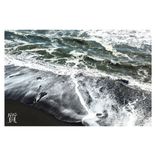 Artwork voor "Life Sense"