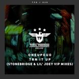 Artwork voor "Trn It Up (StoneBridge & Lil' Joey VIP Mixes)"
