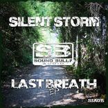 Artwork voor "Last Breath"