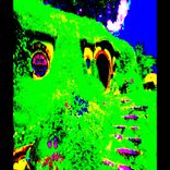 Portada para "Hobbit House"