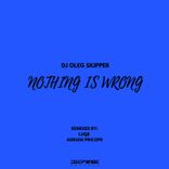 Artwork for "Nothing Is Wrong"
