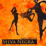 Portada para "Baile del Sol"