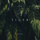 Artwork for "Tiger"