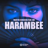 Artwork voor "Harambee"