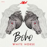 Artwork voor "White Horse"
