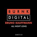 Artwork voor "All Night Long"