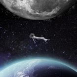 Artwork for "Izabella's Dreams"