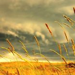 Portada para "Now That We Found Love"