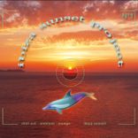 Where Are the Dolphins?